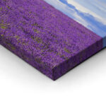 Πίνακας Πανοραμικός LAVENDER FIELD