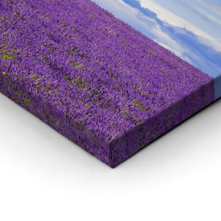 Πίνακας Πανοραμικός LAVENDER FIELD - Λεβαντα Sticky 1