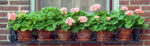 Πίνακας Πανοραμικός POTS