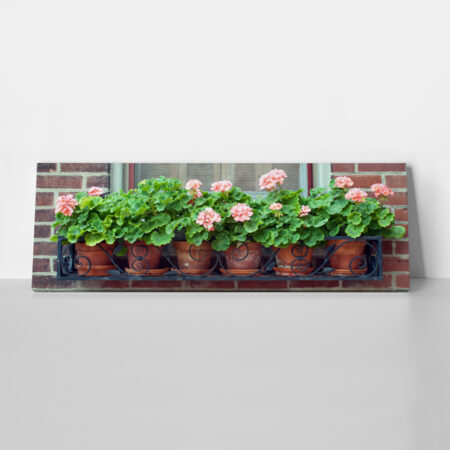 Πίνακας Πανοραμικός POTS - Floral - Λουλουδια Sticky 1