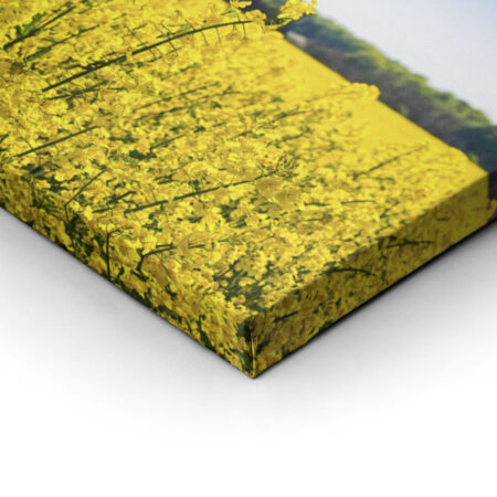 Πίνακας Πανοραμικός σε καμβά RAPESEED FLOWERS IN SPRINGTIME - Υπαιθρος Sticky 2