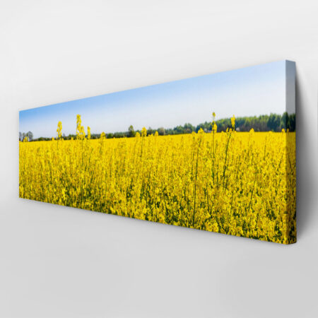 Πίνακας Πανοραμικός σε καμβά RAPESEED FLOWERS IN SPRINGTIME - Υπαιθρος Sticky 4