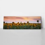 Πίνακας Πανοραμικός SUNFLOWERS SUNSET