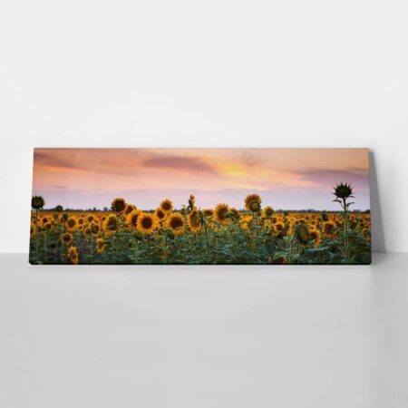 Πίνακας Πανοραμικός SUNFLOWERS SUNSET - Ηλιανθοι Sticky 1
