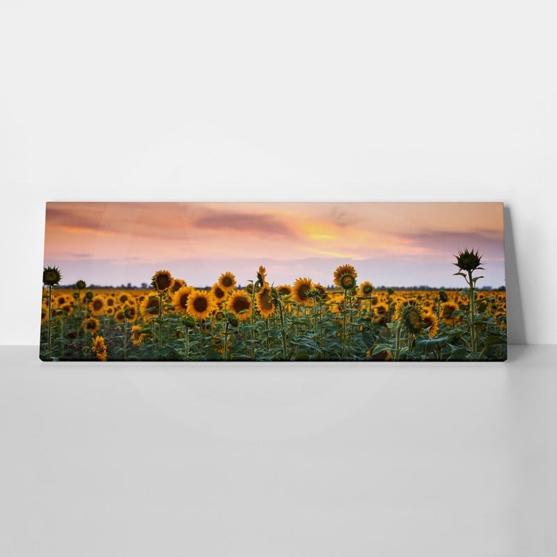 Πίνακας Πανοραμικός SUNFLOWERS SUNSET