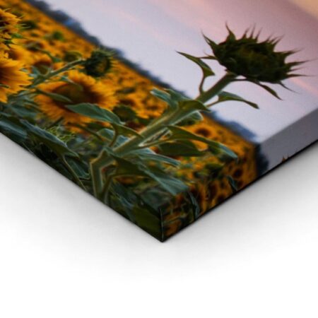 Πίνακας Πανοραμικός SUNFLOWERS SUNSET - Ηλιανθοι Sticky 3