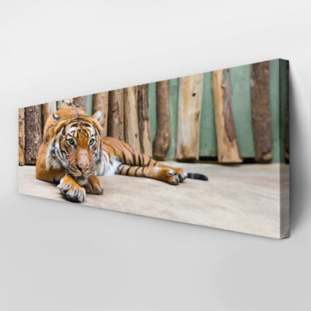 Πίνακας Πανοραμικός TIGER - Ζωα Sticky 3