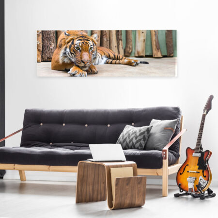 Πίνακας Πανοραμικός TIGER - Ζωα