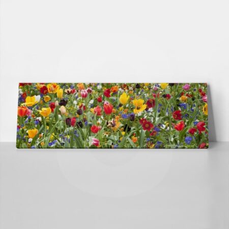 Πίνακας Πανοραμικός σε καμβά TULIP FIESTA - Τουλιπες Sticky 1