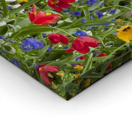 Πίνακας Πανοραμικός σε καμβά TULIP FIESTA - Τουλιπες Sticky 3