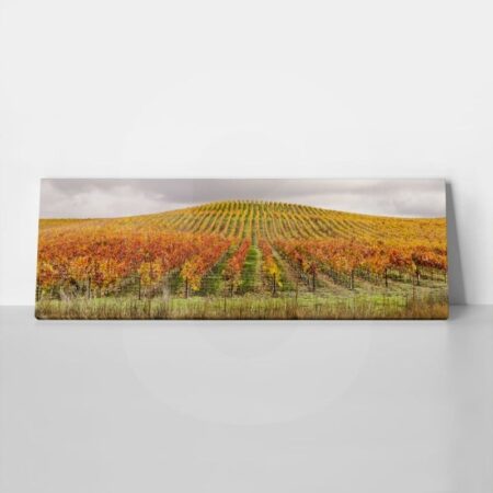 Πίνακας Πανοραμικός σε καμβά VINEYARD IN AUTUMN - Υπαιθρος Sticky 1