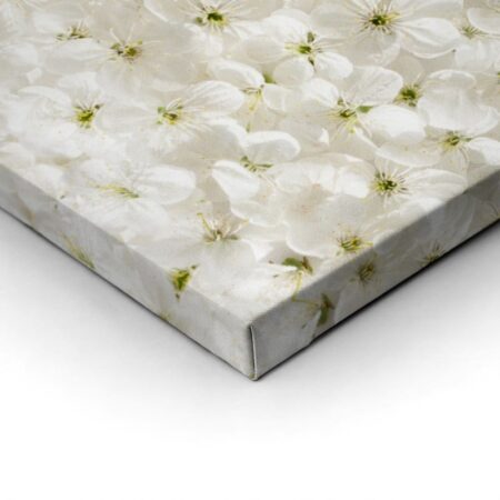 Πίνακας Πανοραμικός σε καμβά WHITE CHERRY FLOWERS - Ανθη Δεντρων Sticky 2