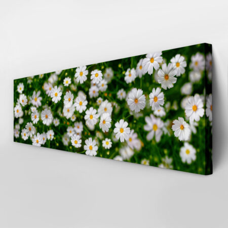 Πίνακας Πανοραμικός WHITE FLOWERS - Μαργαριτες Sticky 3