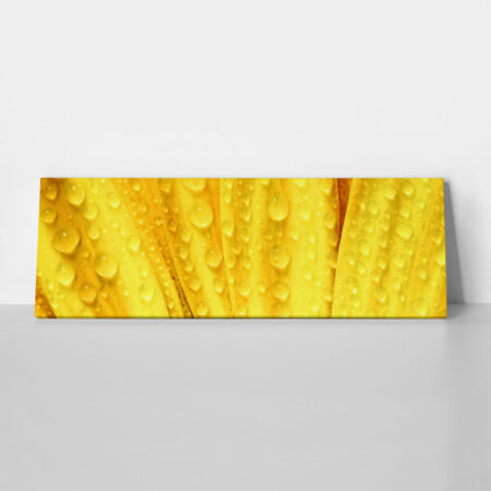 Πίνακας Πανοραμικός YELLOW DAISY - Μαργαριτες Sticky 1