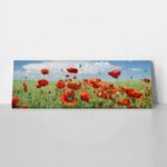 Πίνακας Πανοραμικός σε καμβά POPPIES AND CLOUDS
