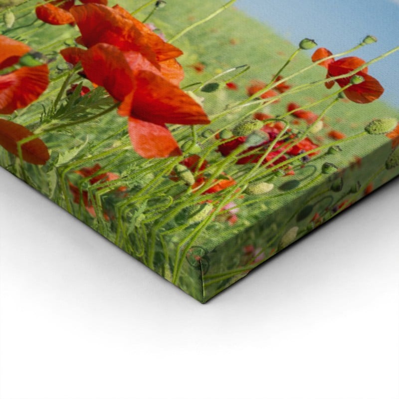 Πίνακας Πανοραμικός σε καμβά POPPIES AND CLOUDS