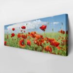 Πίνακας Πανοραμικός σε καμβά POPPIES AND CLOUDS
