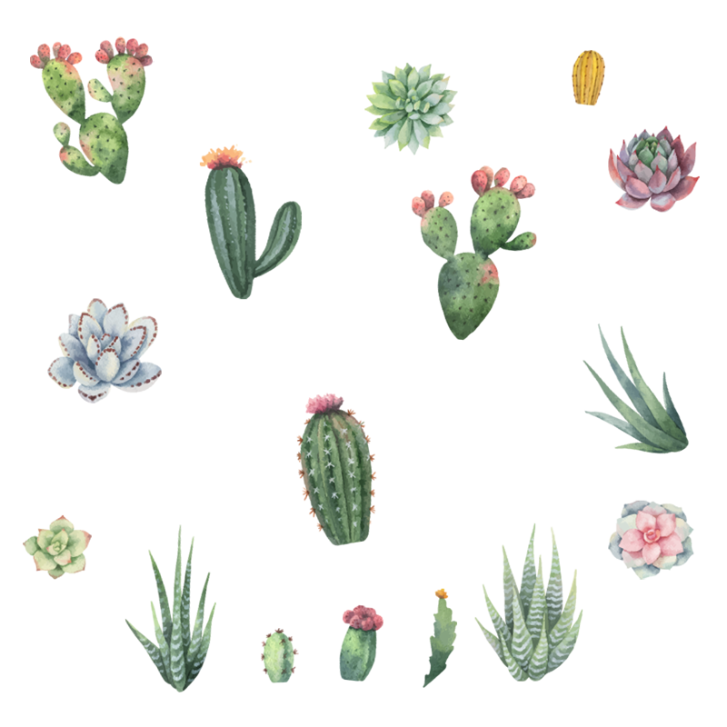 crop image