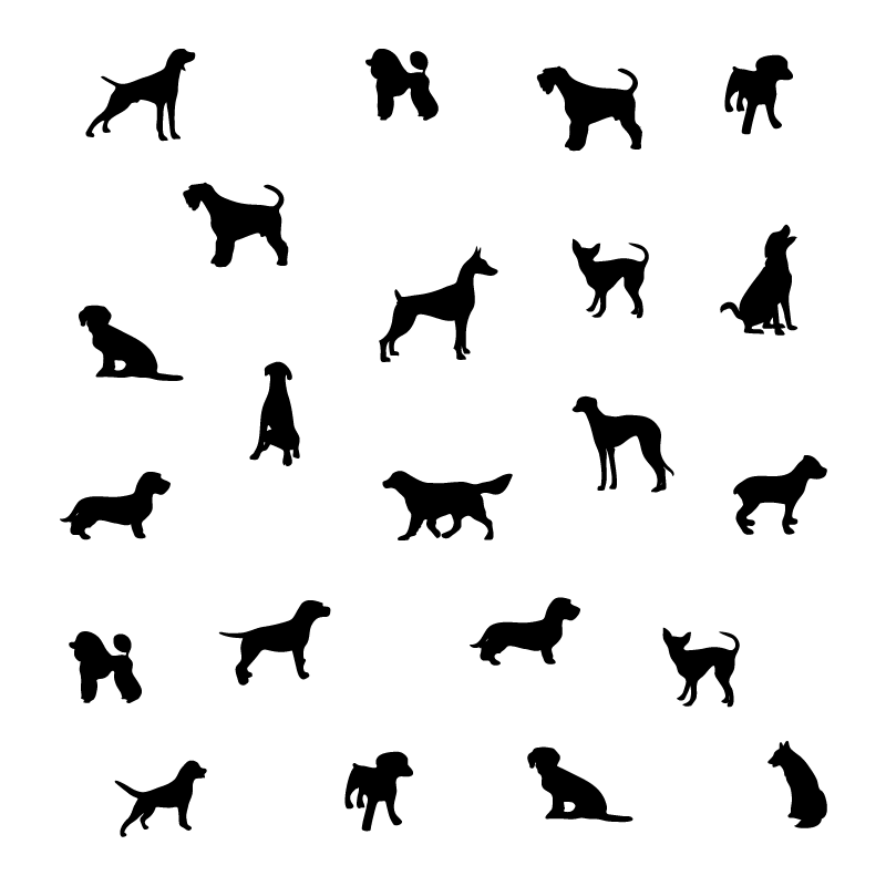 crop image