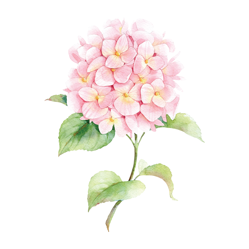 crop image