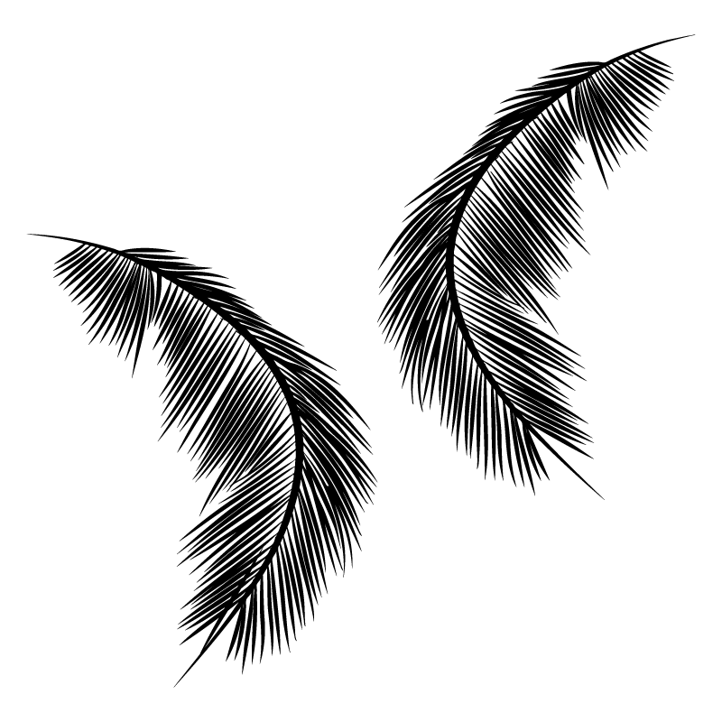 crop image