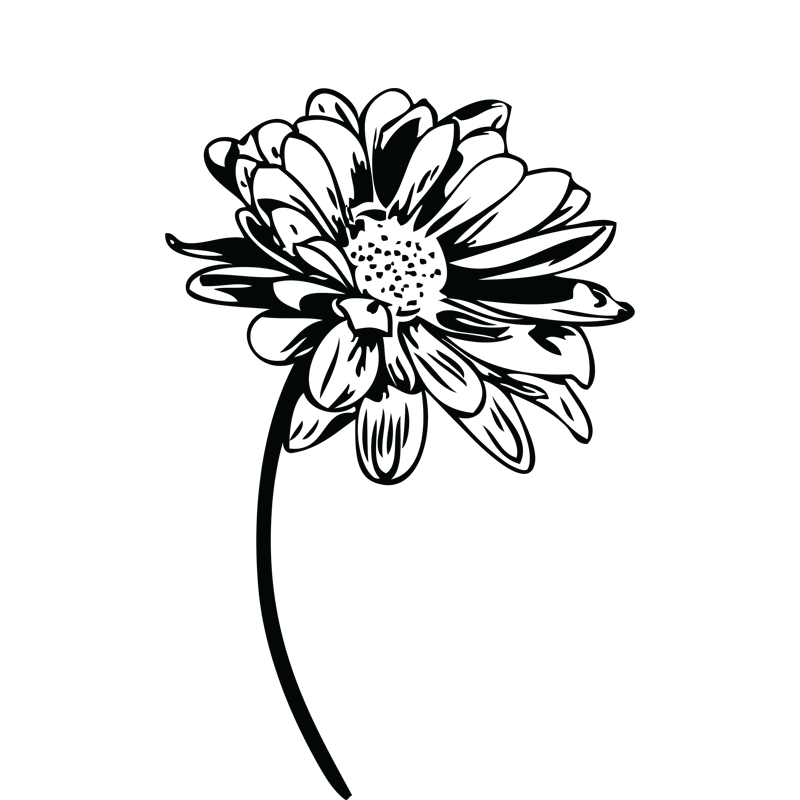 crop image