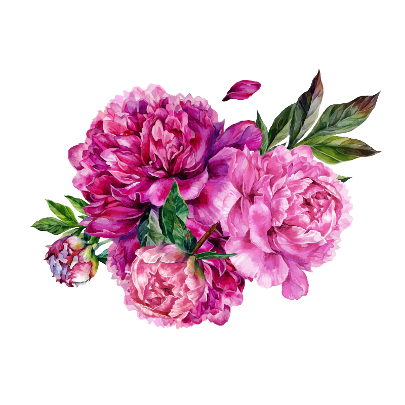 crop image