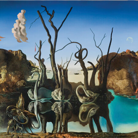 Πίνακας σε καμβά DALI - SWANS REFLECTING ELEPHANTS - Salvador Dali Sticky 5