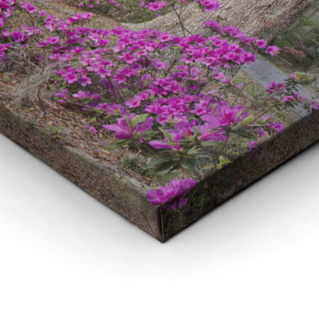Πίνακας Πανοραμικός AZALEA - Υπαιθρος Sticky 2