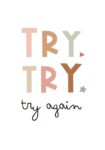 Πινακας σε καμβά TRY AGAIN