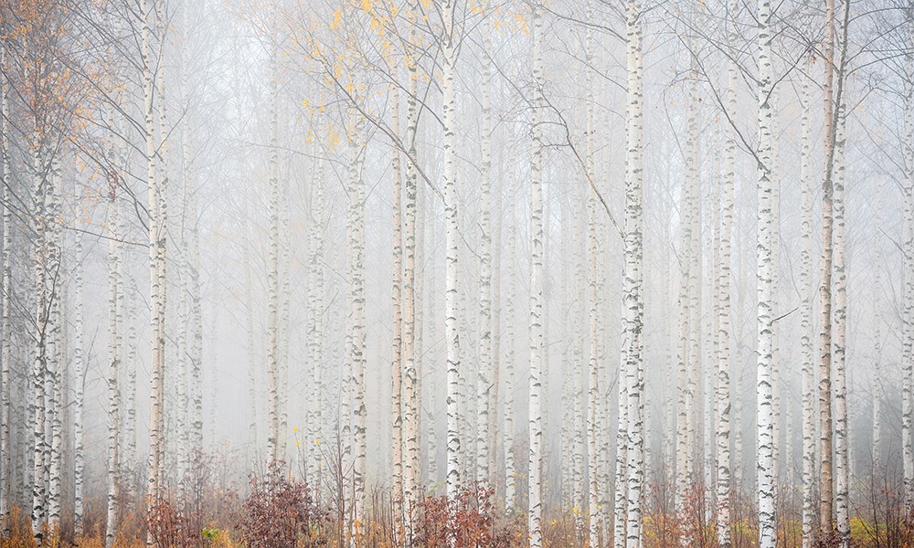 crop image