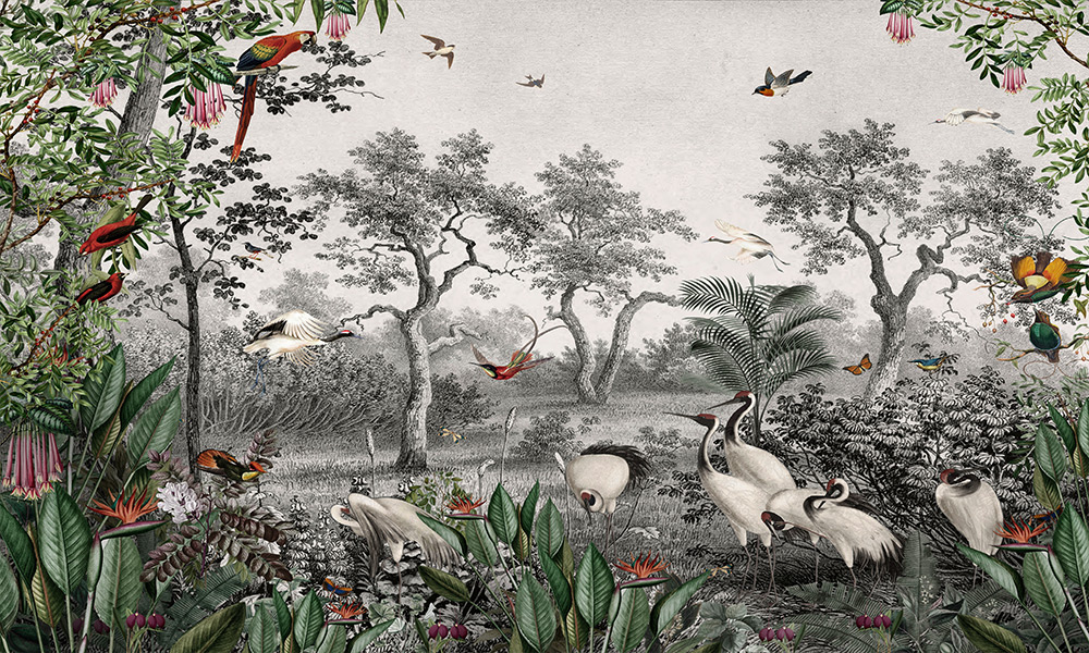 crop image
