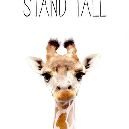 Πινακας σε καμβά CUTE GIRAFFE - Παιδικοι και set Sticky 5