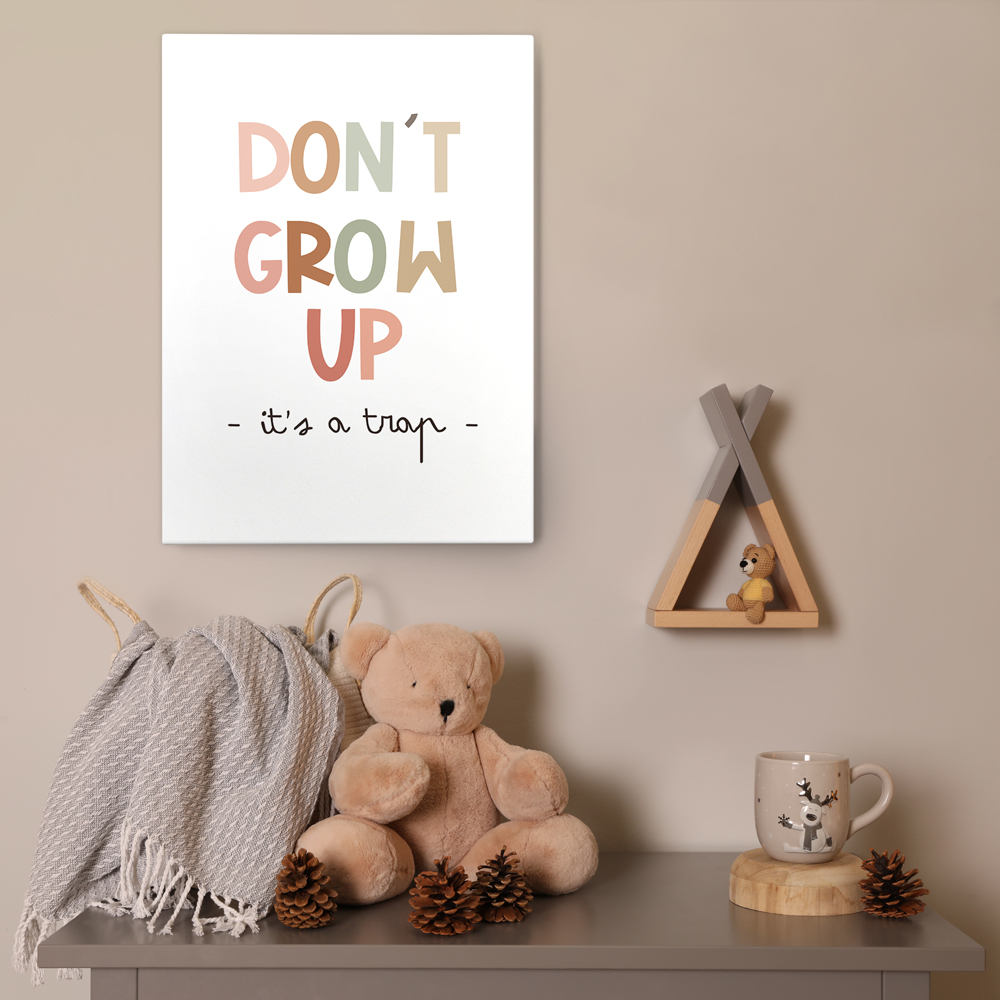 Πινακας σε καμβά DONT GROW UP