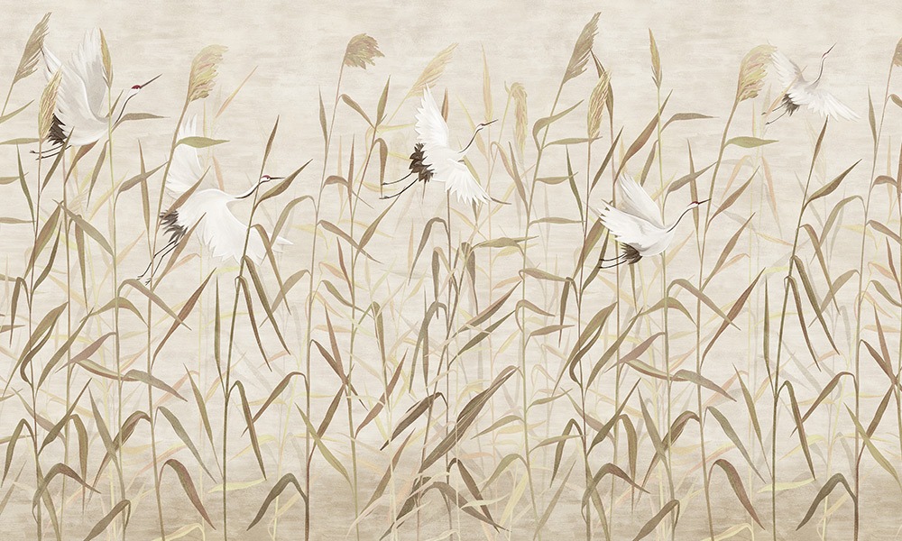 crop image