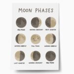 Πόστερ MOON PHASES HAPPY