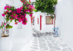 Πινακας σε καμβά MYKONOS