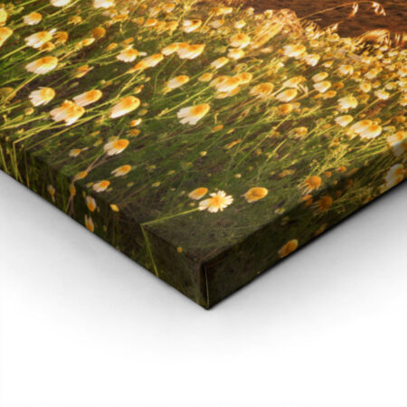 Πινακας σε καμβά SANTORINI WILDFLOWERS - Νησια Sticky 1