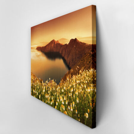 Πινακας σε καμβά SANTORINI WILDFLOWERS - Νησια Sticky 2