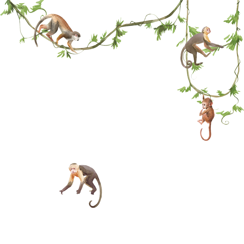 crop image
