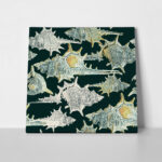 OUTLET Πινακας σε καμβά VINTAGE SEASHELLS 65cm x 65cm