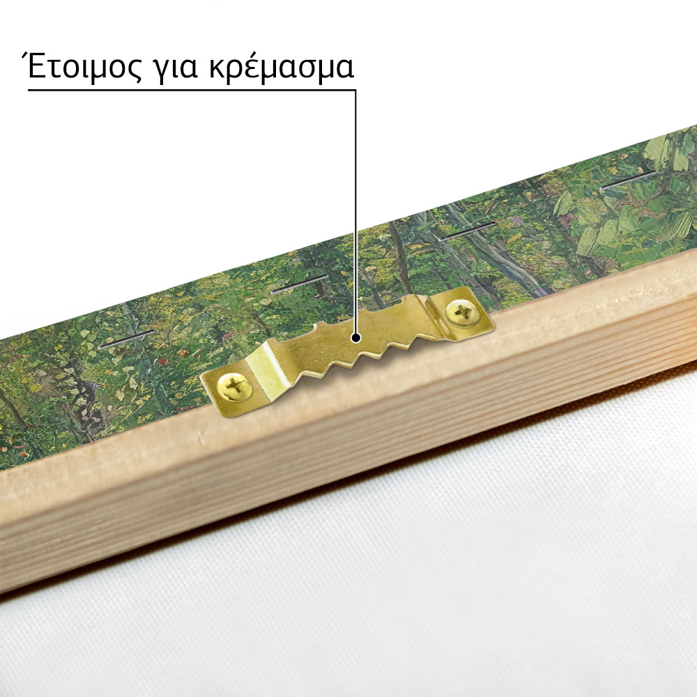 Πινακας σε καμβά VAN GOGH - TREES AND UNDERGROWTH
