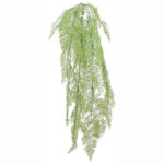 ΡΙΖΑ ΚΡΕΜΑΣΤΗ ΦΤΕΡΗ ΛΑΧΑΝΙ - Υ130cm