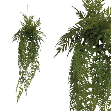 ΡΙΖΑ ΚΡΕΜΑΣΤΗ ΦΤΕΡΗ ΣΕ ΚΟΡΜΟ ΜΕ ΒΡΥΑ - Y142cm - Πρασινάδες - Κρεμαστά φυτά