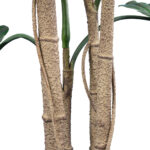 MONSTERA PLANT 20006 - Τεχνητό Διακοσμητικό Φυτό Μονστέρα Υ150cm