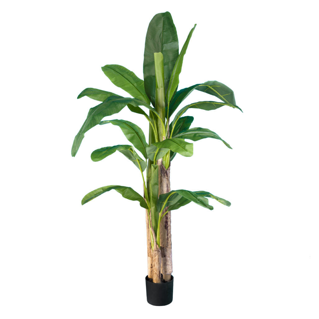 BANANA TREE 20017 - Tεχνητό Διακοσμητικό Φυτό Μπανανιά - Μπανανόδεντρο Υ180cm