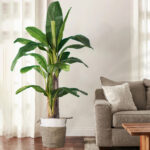 BANANA TREE 20017 - Tεχνητό Διακοσμητικό Φυτό Μπανανιά - Μπανανόδεντρο Υ180cm