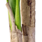 BANANA TREE 20017 - Tεχνητό Διακοσμητικό Φυτό Μπανανιά - Μπανανόδεντρο Υ180cm