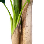 BANANA TREE 20018 - Τεχνητό Διακοσμητικό Φυτό Μπανανιά - Μπανανόδεντρο Υ240cm