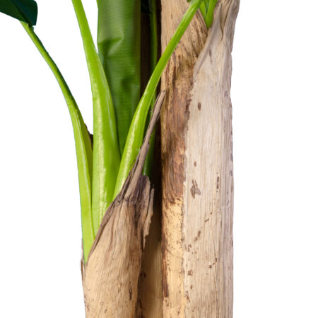 BANANA TREE 20018 - Τεχνητό Διακοσμητικό Φυτό Μπανανιά - Μπανανόδεντρο Υ240cm - Τεχνητες Μπανανιες Sticky 2